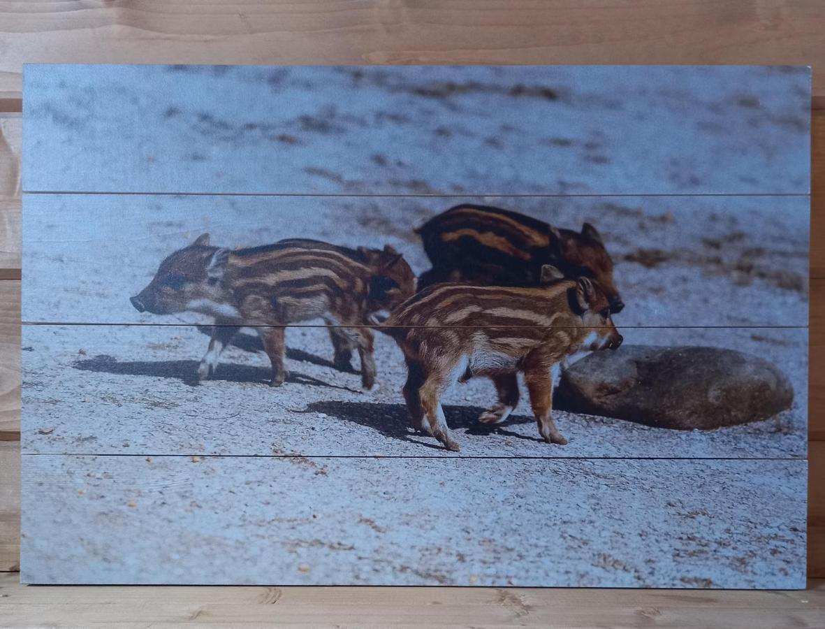 'T Zwientje エルメロ エクステリア 写真